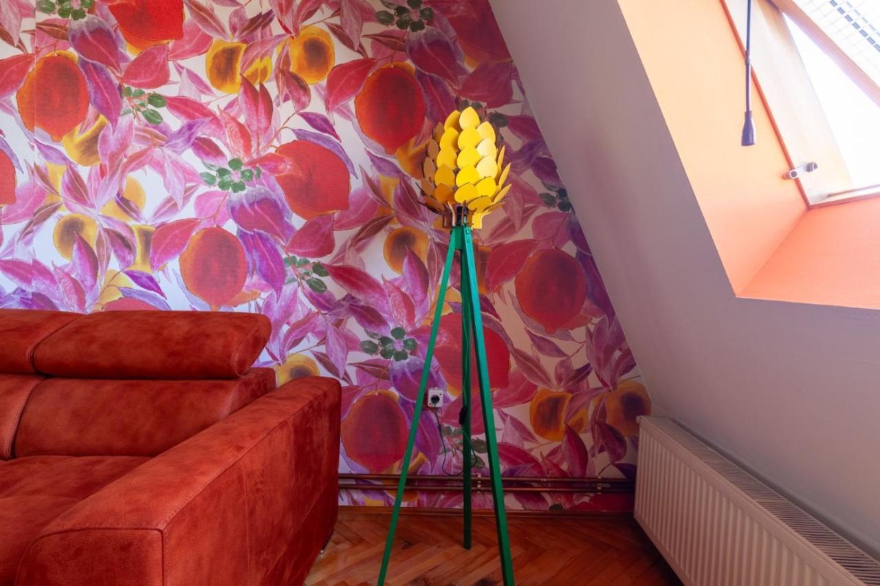 Apartment Amore Mio Golubac Exterior foto